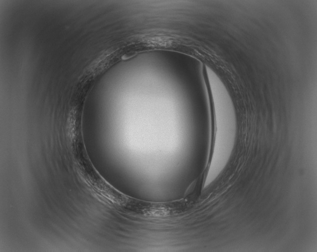 X0000082950600200702222315