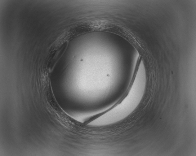 X0000082950601200702222315