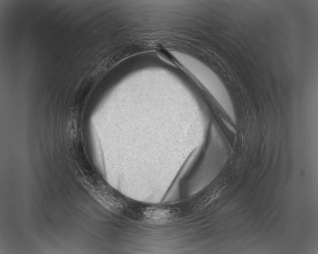 X0000082950602200702222315