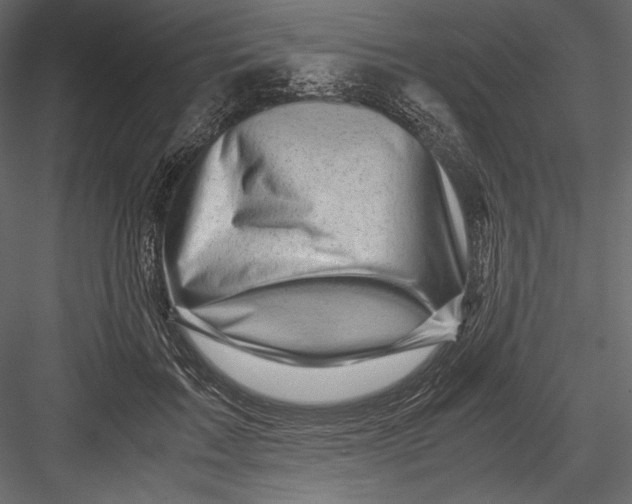 X0000082950603200702222315