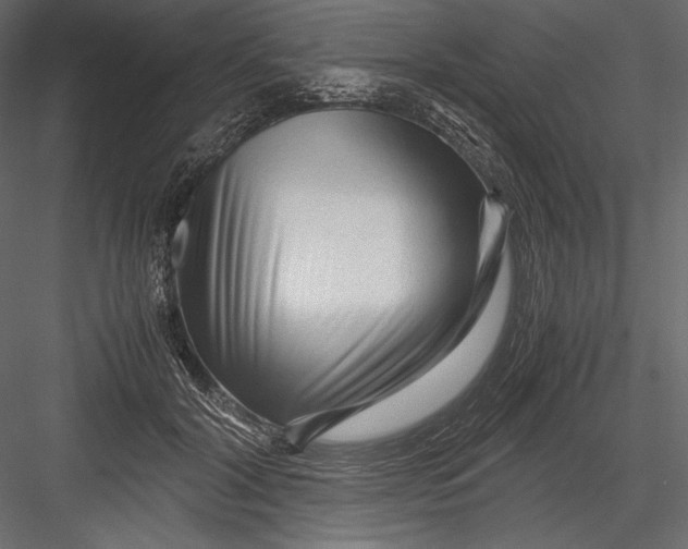 X0000082950604200702222315