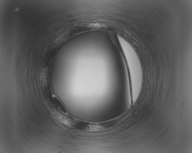 X0000082950605200702222315