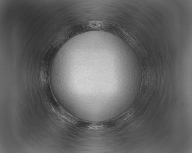 X0000082950606200702222315