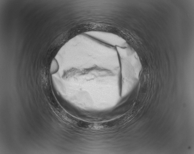 X0000082950607200702222315