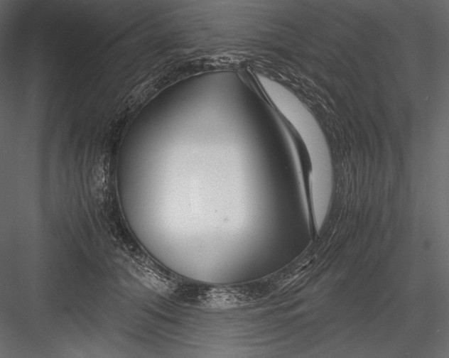 X0000082950608200702222315