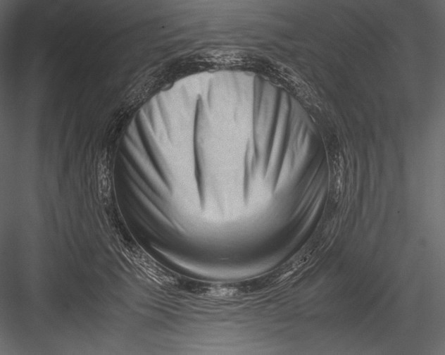 X0000082950609200702222315