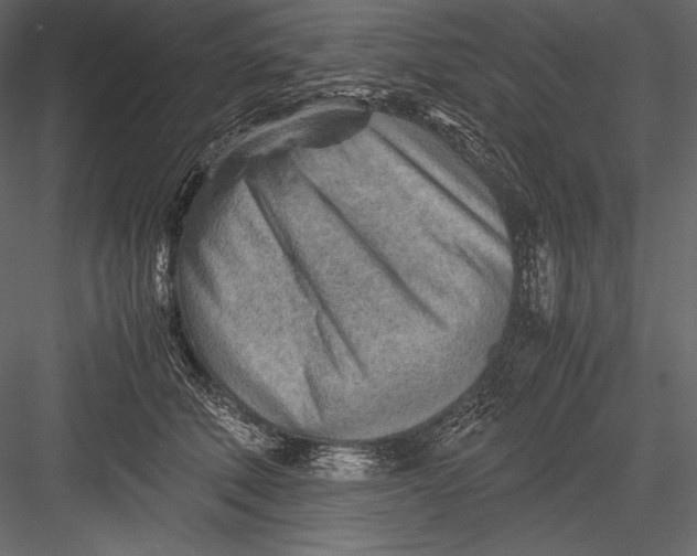 X0000082950610200702222315