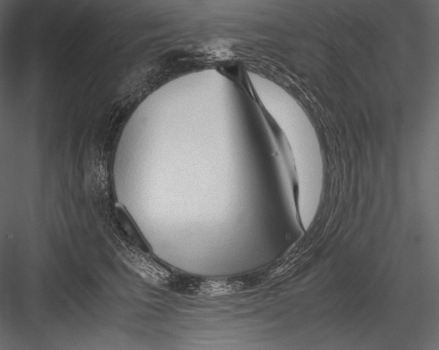 X0000082950613200702222315