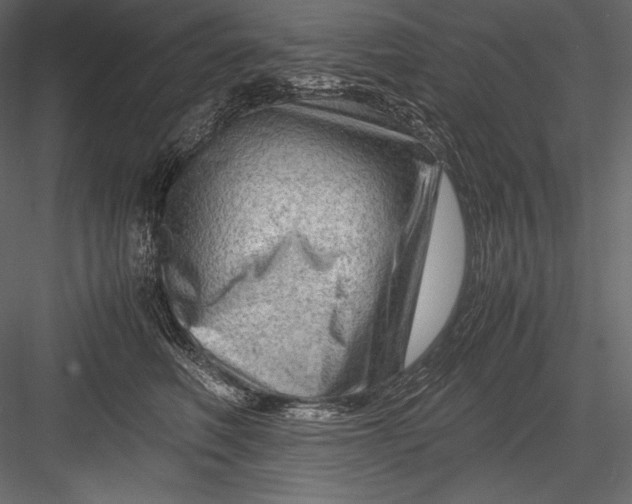 X0000082950614200702222315