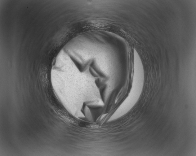 X0000082950615200702222315