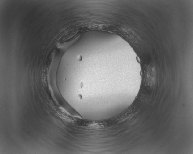 X0000082950616200702222315