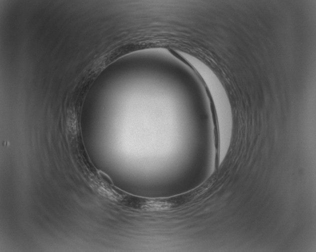 X0000082950617200702222315