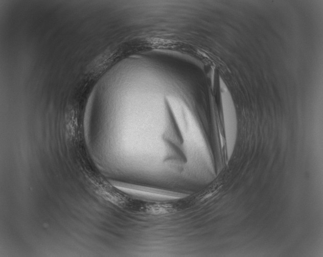 X0000082950618200702222315