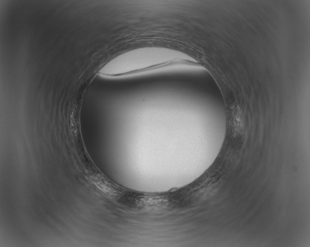 X0000082950619200702222315