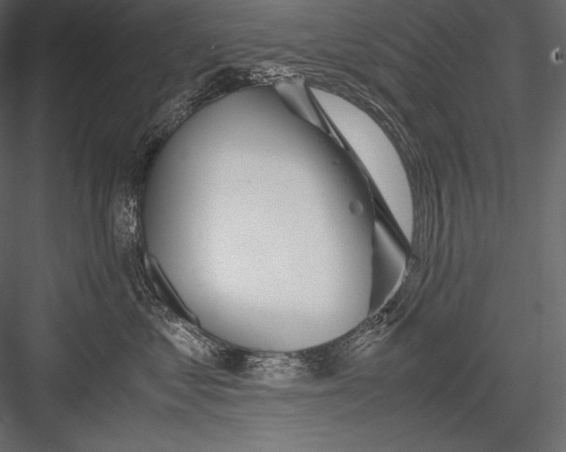 X0000082950621200702222315