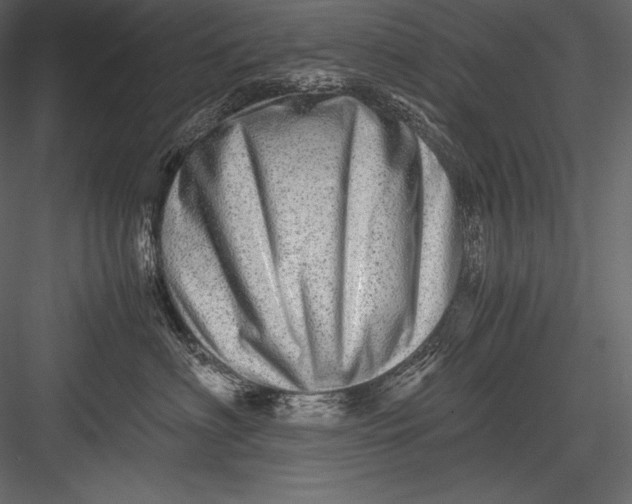 X0000082950622200702222315