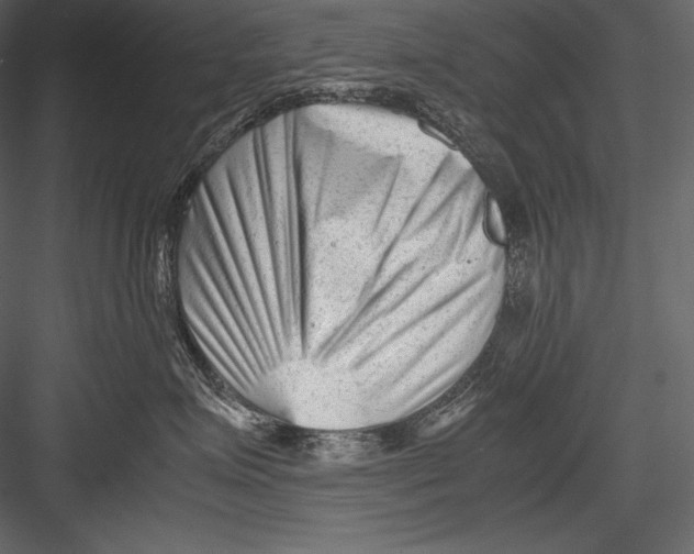 X0000082950623200702222315