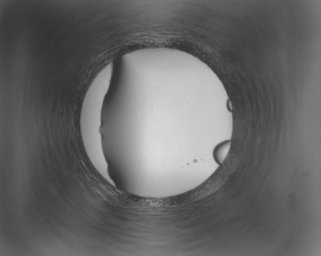 X0000082950624200702222315