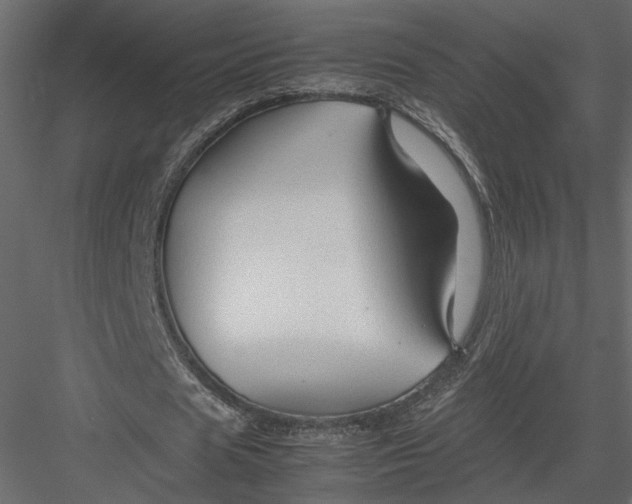 X0000082950625200702222314