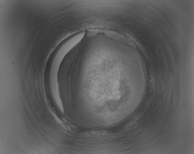 X0000082950626200702222314