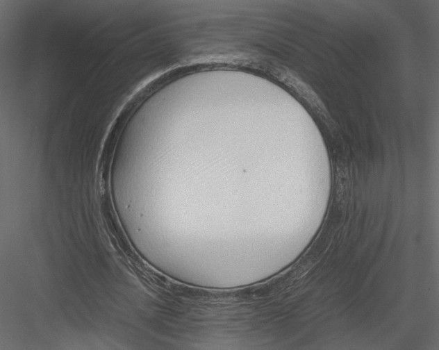 X0000082950628200702222314