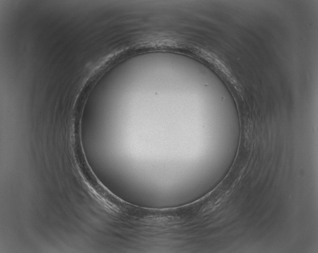 X0000082950629200702222314