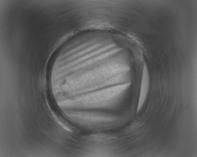 X0000082950630200702222314