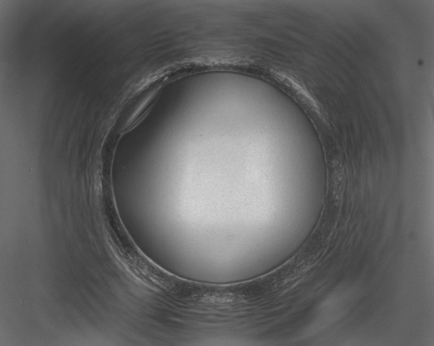 X0000082950631200702222314