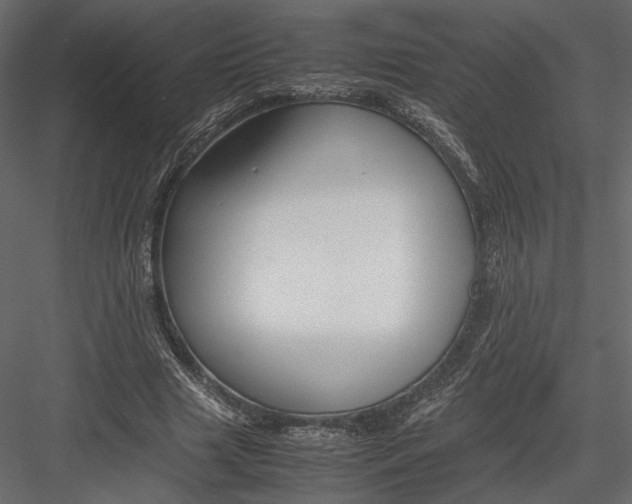 X0000082950633200702222314