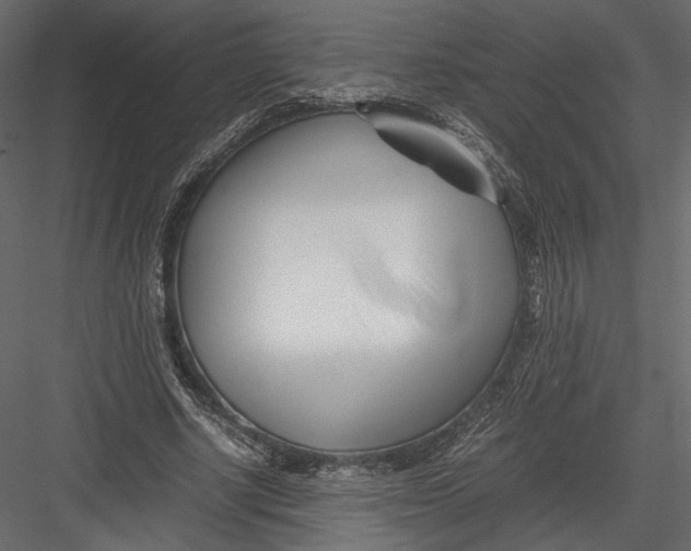 X0000082950634200702222314