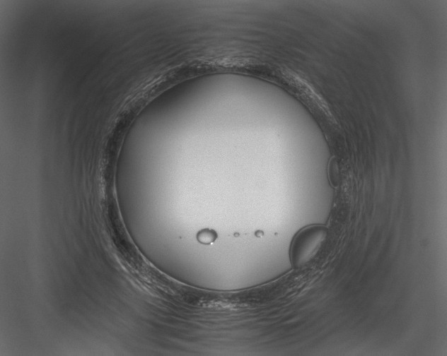 X0000082950635200702222314