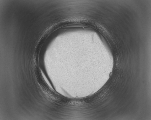 X0000082950636200702222314