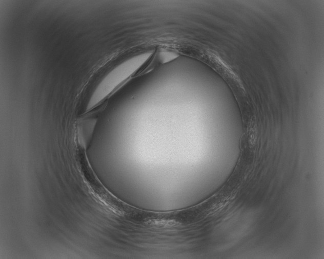 X0000082950637200702222314