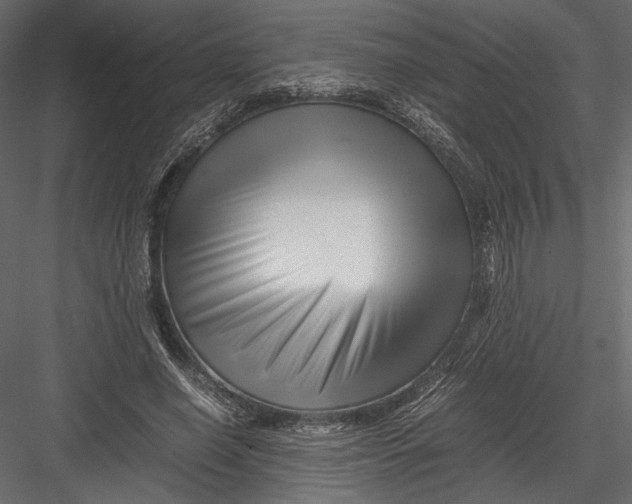 X0000082950638200702222314