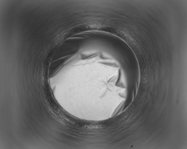 X0000082950639200702222314