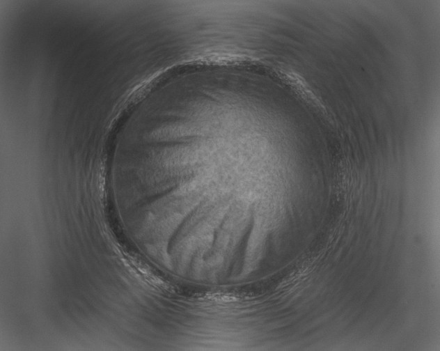 X0000082950640200702222314