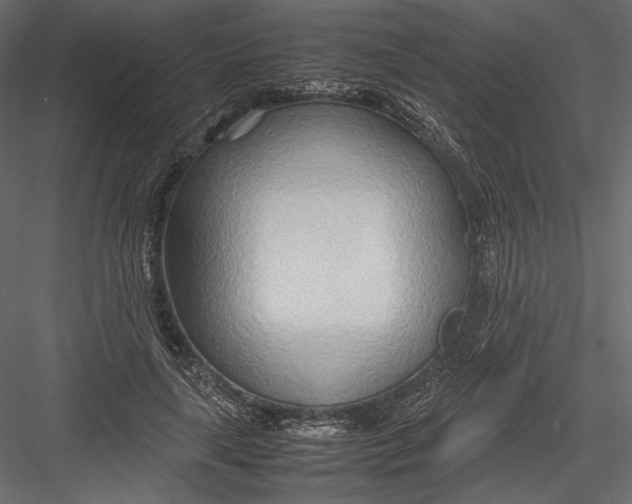 X0000082950643200702222314