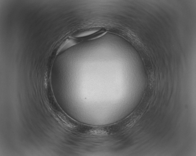 X0000082950644200702222314