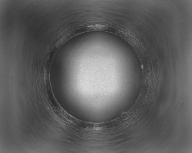 X0000082950647200702222314