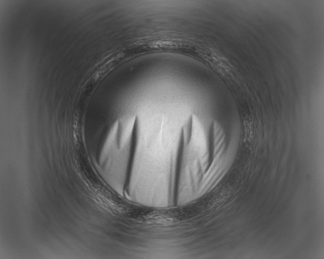 X0000082950648200702222314