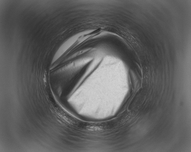 X0000082950649200702222314