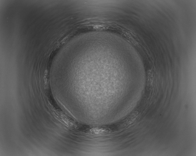 X0000082950650200702222314