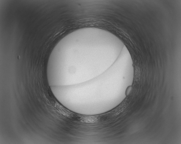 X0000082950652200702222314