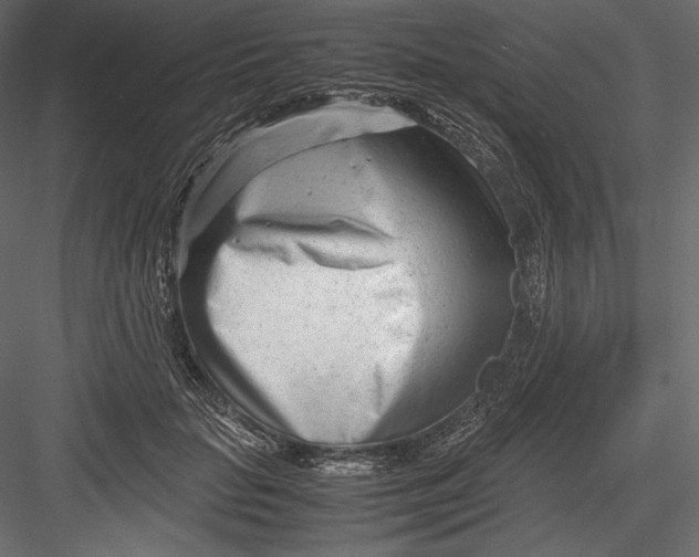 X0000082950653200702222315