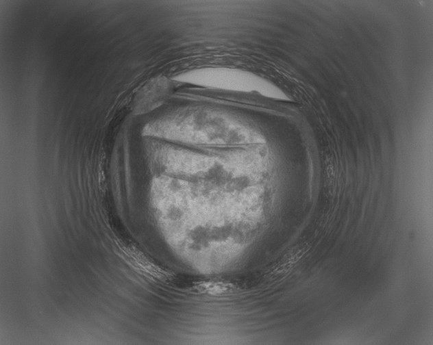 X0000082950654200702222315