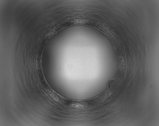 X0000082950655200702222315