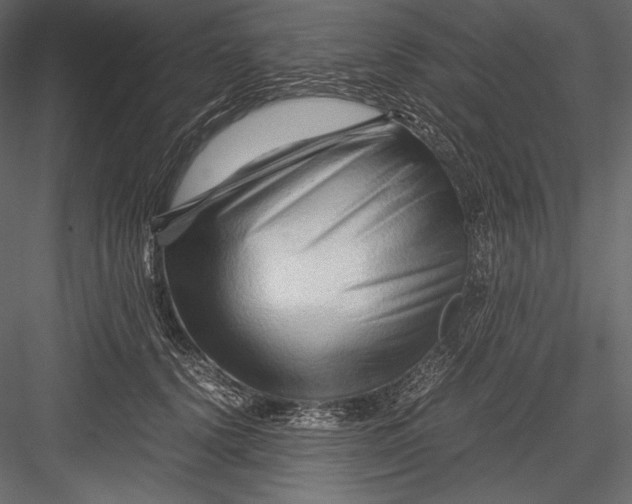 X0000082950656200702222315