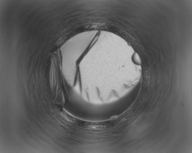 X0000082950657200702222315