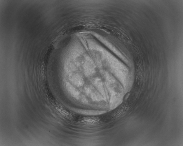 X0000082950659200702222315