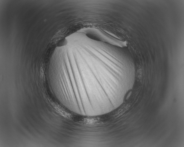 X0000082950662200702222315